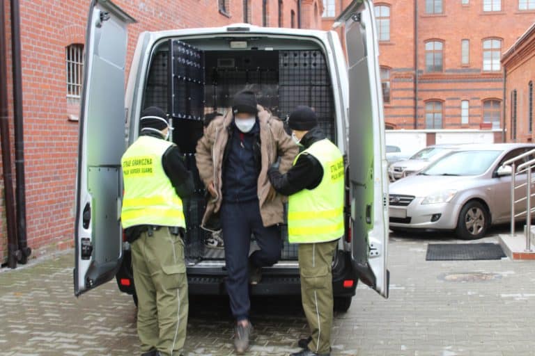 Nielegalni imigranci ukryci w transporcie świątecznych choinek