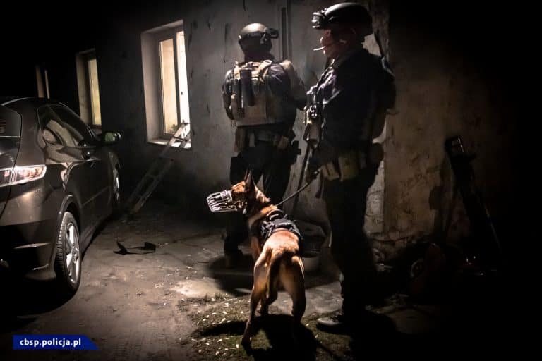 Policjanci przejęli narkotyki oraz broń, zatrzymano 24 osoby