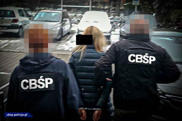 Rozbito grupę przestępczą trudniącą się kradzieżami pojazdów, paserstwem i oszustwami, zatrzymano 11 osób