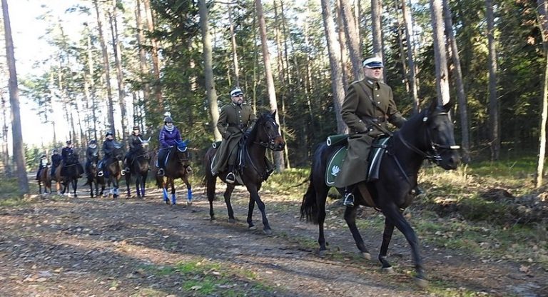 Szlak konny „Z konikiem polskim”