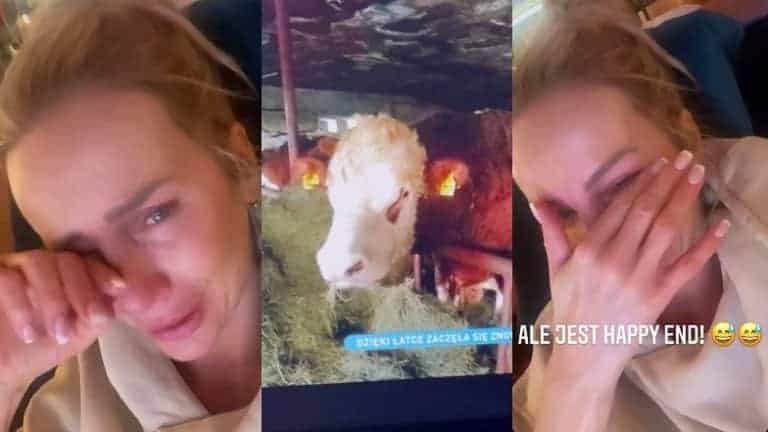 Zalana łzami Agnieszka Woźniak-Starak ubolewa nad losem krowy: „Czy ja jestem jakaś NIENORMALNA?”
