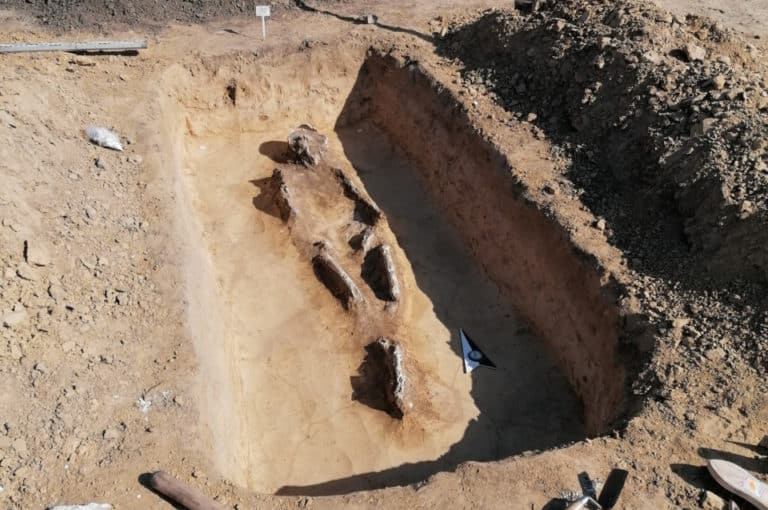 Archeolog: w Dębianach odkryliśmy jedno z największych cmentarzysk megalitycznych w Polsce