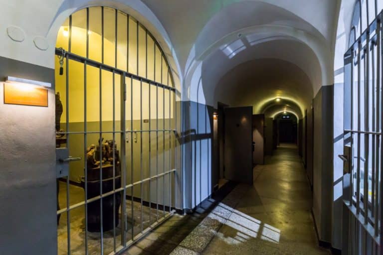 Украинцы среди вахмайстеров в Павиаке