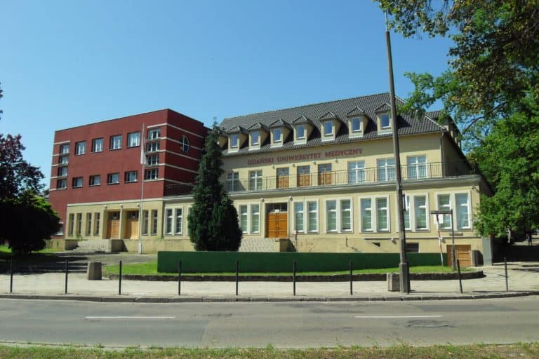Skandal na uczelniach. Czarnek daje trzy dni na wyjaśnienia