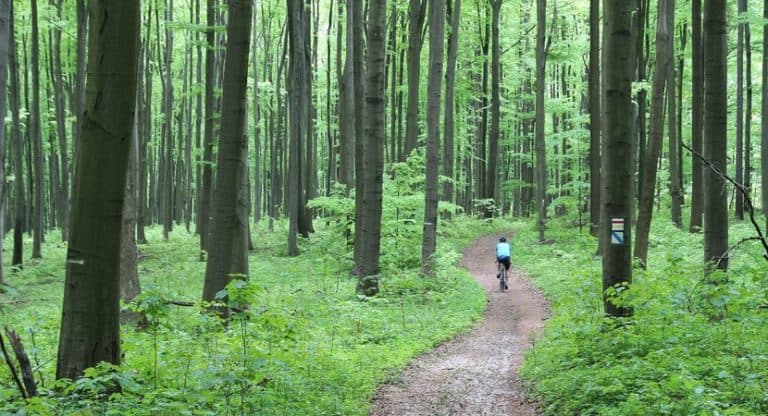 Nadleśnictwo Olkusz zaprasza do kolejnego rezerwatu