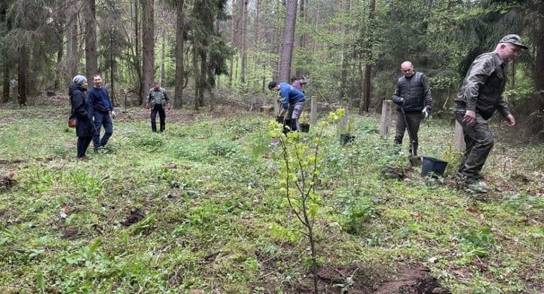 Leśnicy i miłośnicy Olsztynka odsłonili leśne mogiły