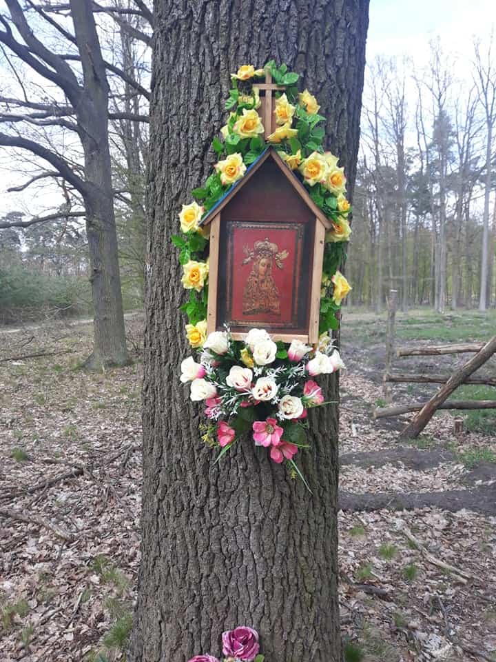 Kolejny akt nienawiści w stosunku do Boga i chrześcijan