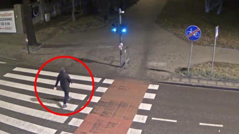 Zwłoki kobiety przysypane liśćmi w parku. Policja ujawnia nagrania