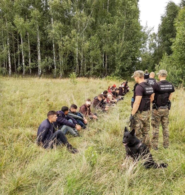 Niemiecki „Bild” chwali Polskę za jej politykę migragyjną