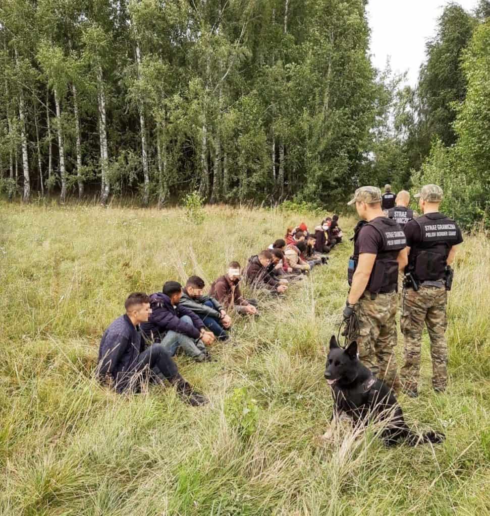 Niemiecki „Bild” chwali Polskę za jej politykę migragyjną