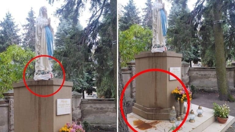 Obrzydliwa profanacja! Figura Matki Bożej oblana fekaliami. Nie pierwszy raz…