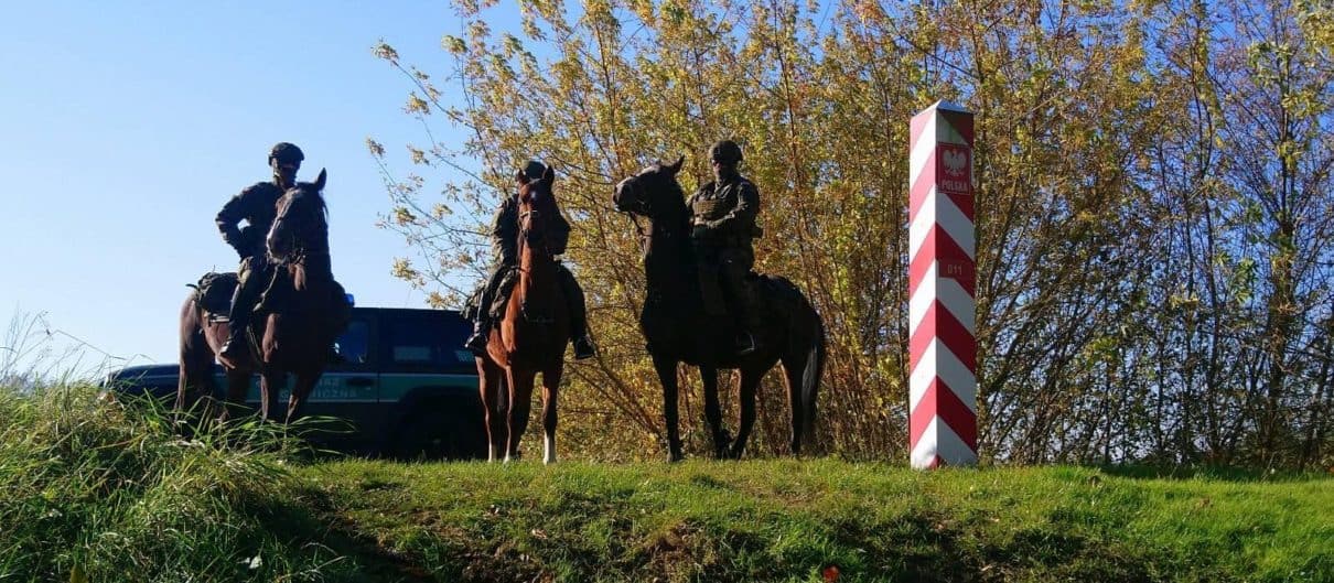 Patrole konne WOT na granicy polsko-białoruskiej