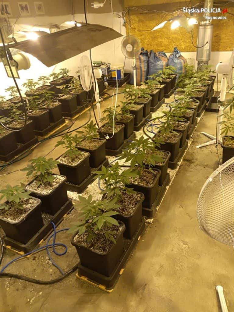 Sosnowieccy policjanci rozbili grupę przestępczą zajmującą się produkcją i handlem narkotykami