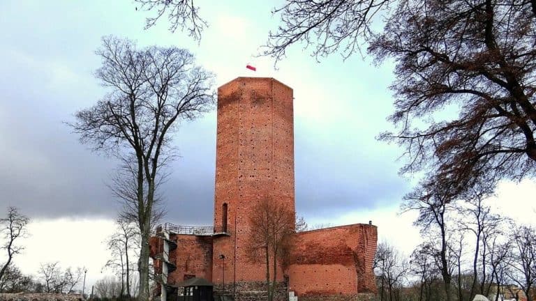 W Mysiej Wieży znów harcują myszy, tym razem wirtualnie