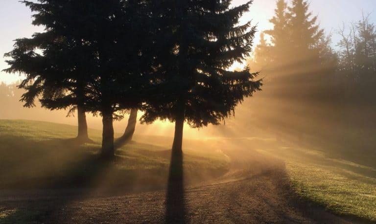 W Polsce zarejestrowano nową „religię”, tzw. Kościół Naturalny…