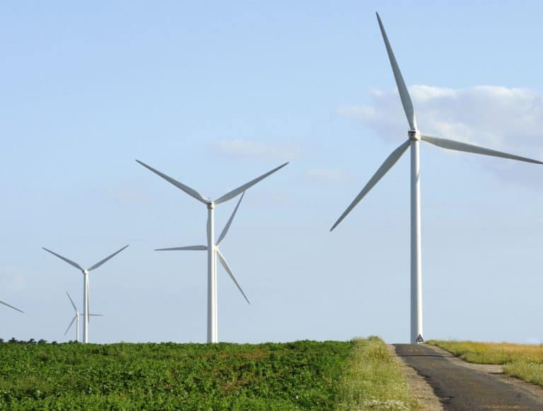 W Szkocji farmy wiatrowe otrzymywały pieniądze za… nieprodukowanie energii