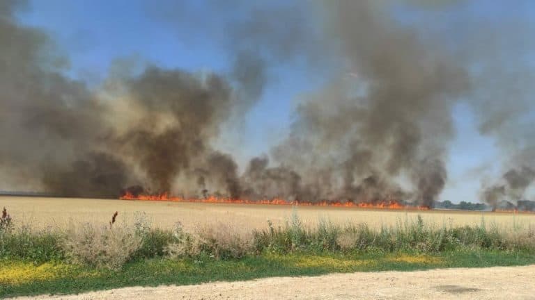 Ukraina: W obwodzie chersońskim Rosjanie niszczą pola pociskami zapalającymi