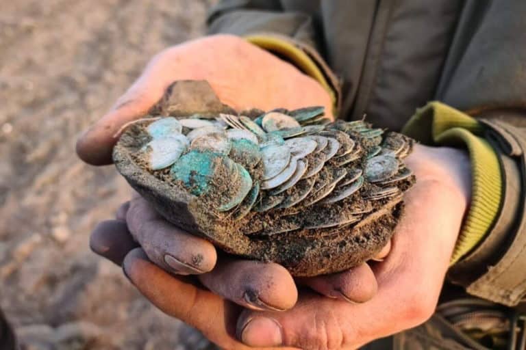 Archeolodzy wznawiają badania w Trójcy, gdzie odkryto skarb 1,8 tys. monet piastowskich