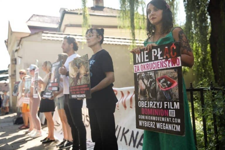 W Krakowie pod synagogą protestowano przeciwko ubojowi rytualnemu