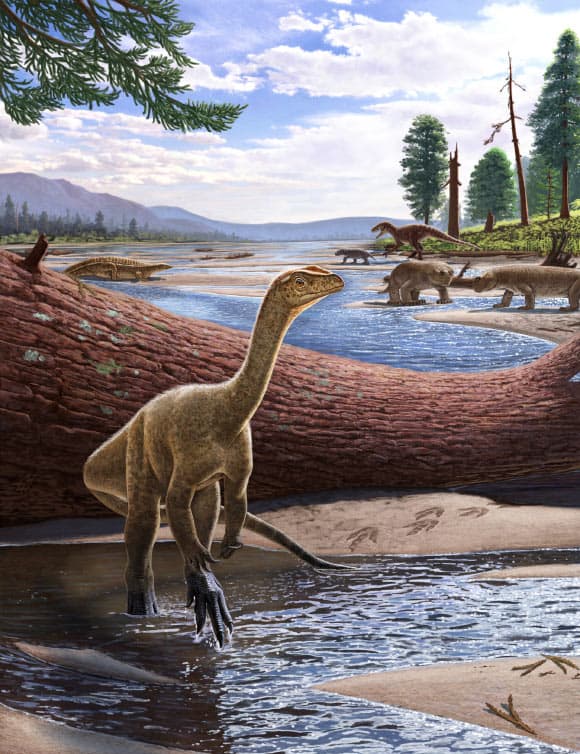 Najwcześniejszy afrykański dinozaur. Żył ok. 230 mln lat temu