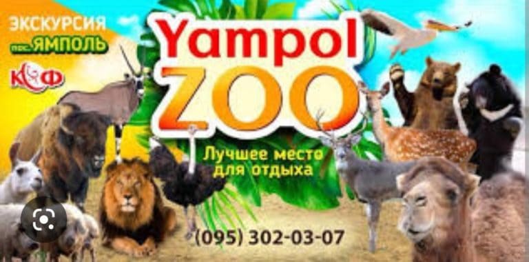 Rosjanie wtargnęli do ukraińskiego ZOO. Zjedli kangura i wielbłądy