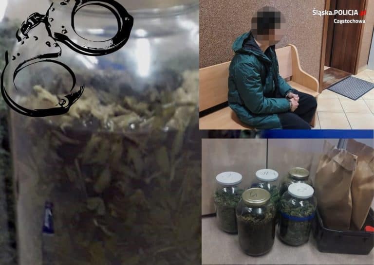 Miał w domu 7,5 kg marihuany. Policjantom tłumaczył, że robił nalewkę