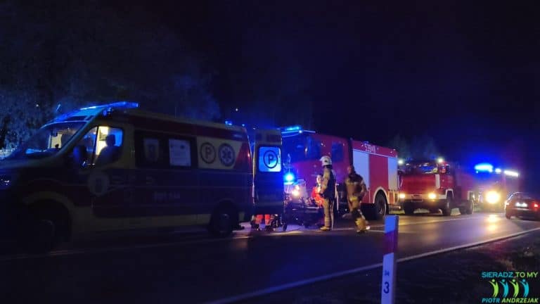Zabita 16-latka była jego dziewczyną? Informacje o prawdopodobnej przyczynie tragedii w Tomisławicach