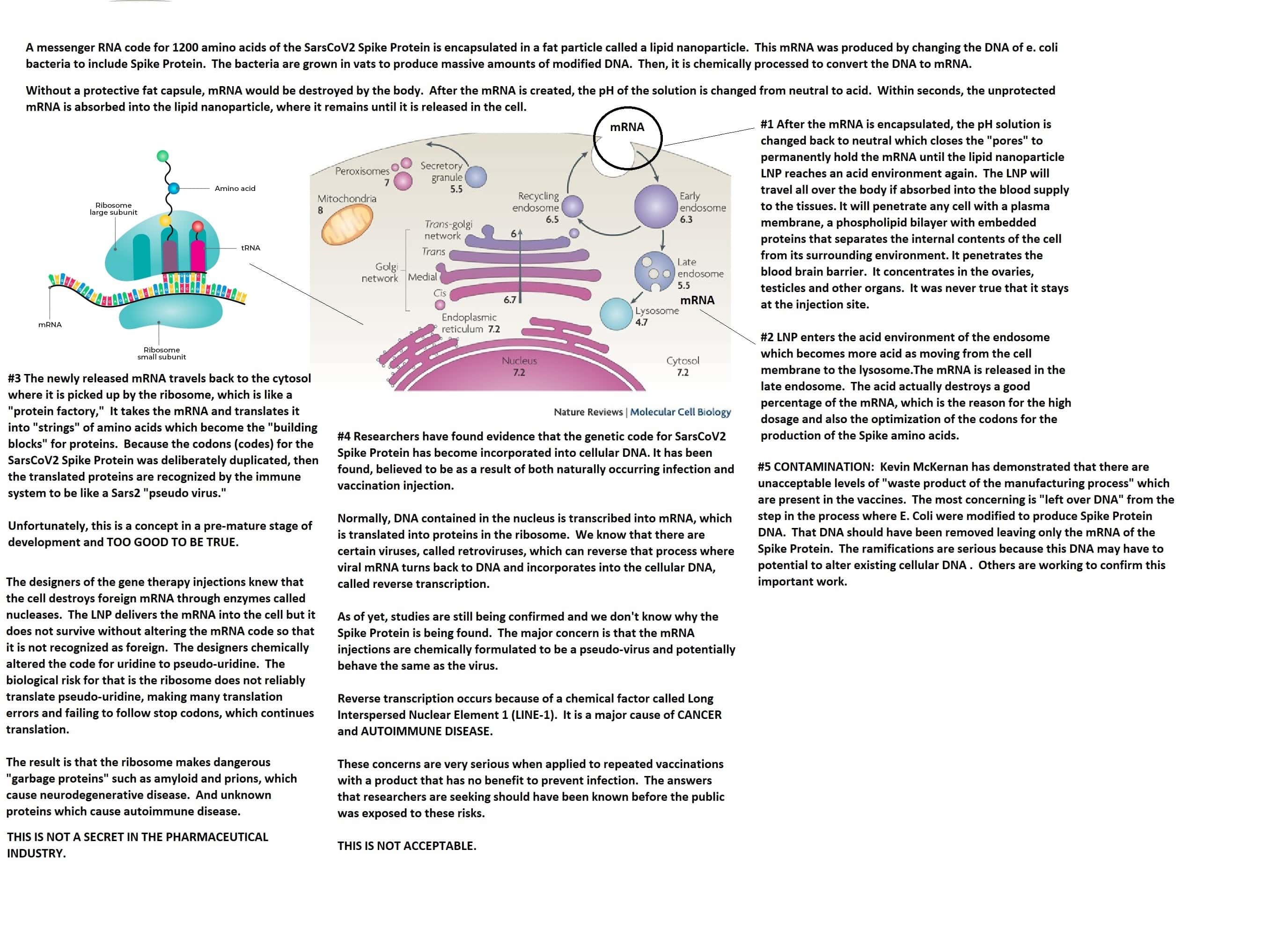 Naukowcy alarmują w temacie powikłań po szczepieniach na COVID