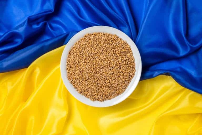 Ukraina znów atakuje kraje UE, które nie chcą jej skażonego zboża