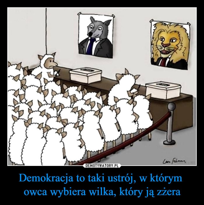 Banaś, Piwler i Kołodziejczak, czy dyzmokracja w pigułce. Holocher i Patlewicz NA ŻYWO