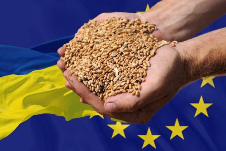 Polskie władze zignorowały spotkanie w sprawie ukraińskiego zboża