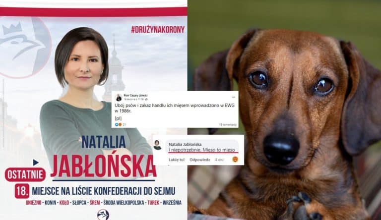 Krzysztof Drużyński: Konfederacja i jedzenie psów