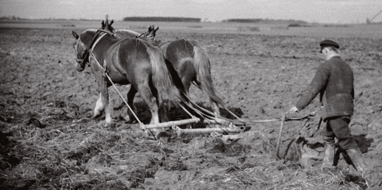 Kalendarium historyczne: 6 września 1945 roku – komuniści wydają dekret o reformie rolnej