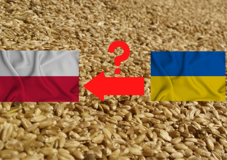 Co dalej z embargo na zboże? UE stawia twarde warunki