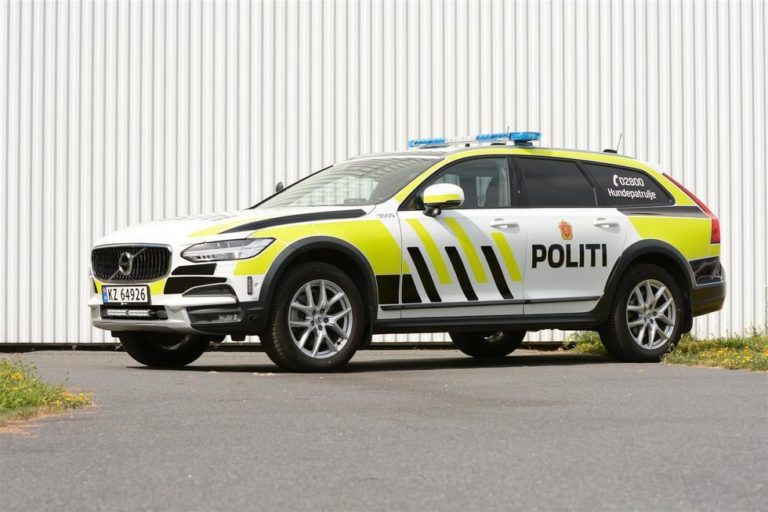 Polacy zaatakowani na jarmarku świątecznym. Padły strzały