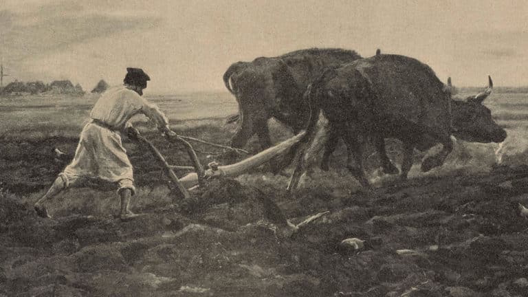 Kalendarium historyczne: 4 grudnia 1520 – szlachta wprowadza pańszczyznę