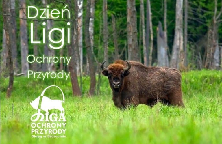 Kalendarium historyczne: 9 stycznia 1928 – Utworzenie Ligi Ochrony Przyrody