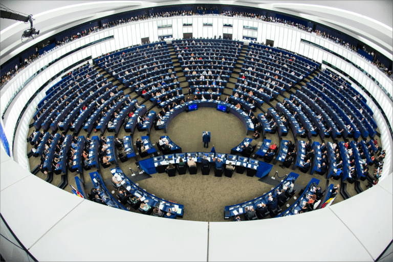 AfD tworzy nową frakcję w europarlamencie. Wykluczono Grzegorza Brauna