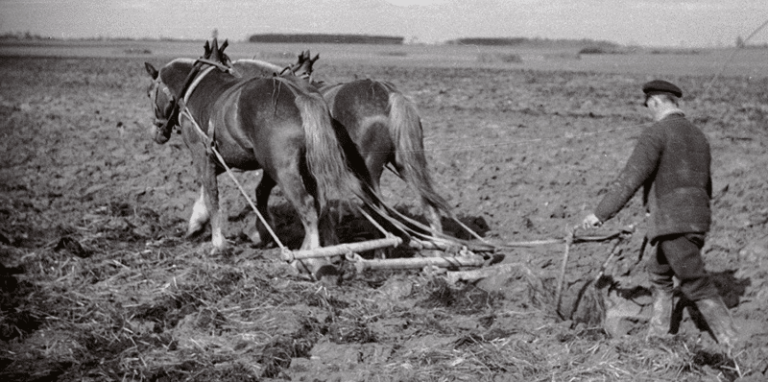 Kalendarium historyczne: 6 września 1945 – komunistyczna reforma rolna