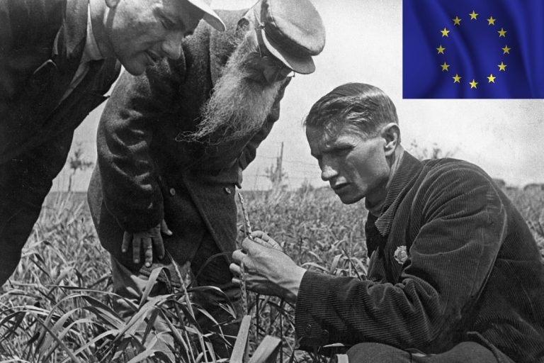 Neołysenkizm wkracza do rolnictwa. Tego chce UE