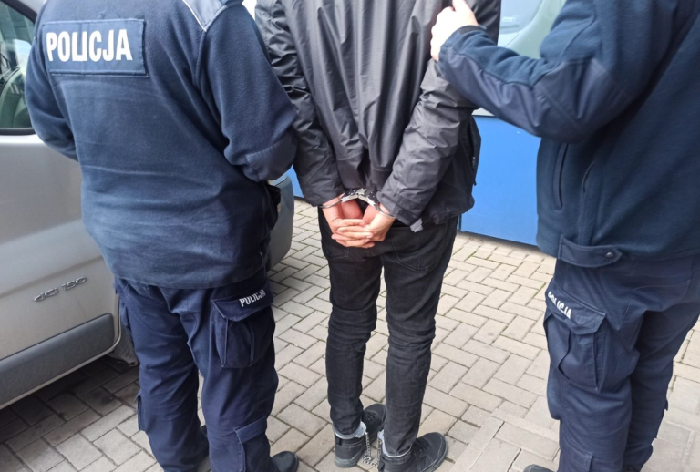 Płock: Dwaj imigranci grozili Polakom maczetą