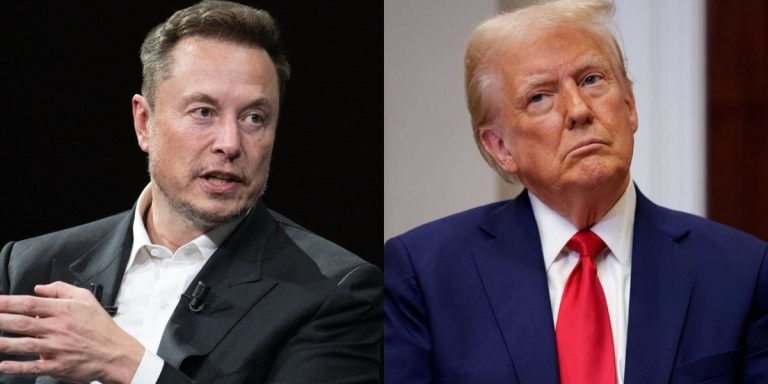 Elon Musk założył własną partię