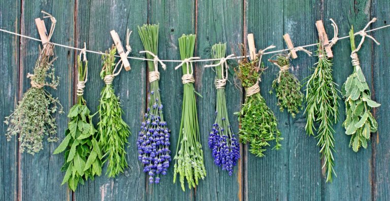 Rząd Tuska chce zwalczać medycynę naturalną