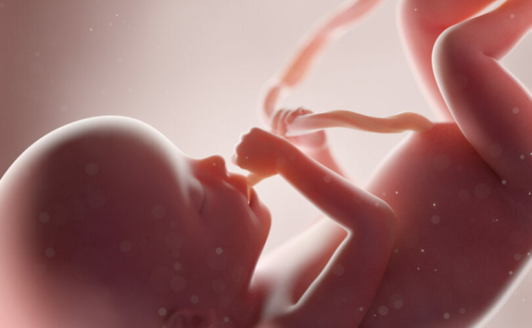 Studentka medycyny nie chciała brać udziału w aborcji. Wyrzucono ją z uczelni