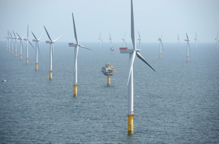 Trump wstrzymał projekty morskich farm wiatrowych. Polska odwrotnie