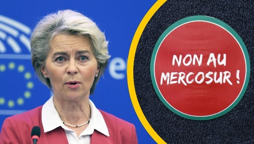 Umowa Mercosur skierowana do TSUE. Niemcy wściekli