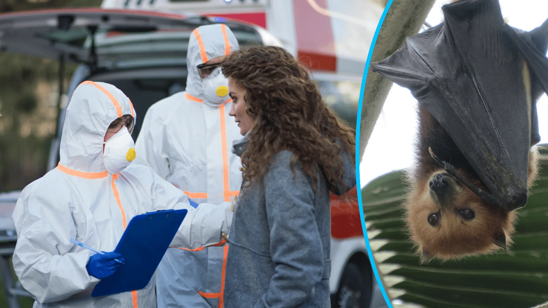 Globaliści straszą świat nową pandemią wirusa Nipah