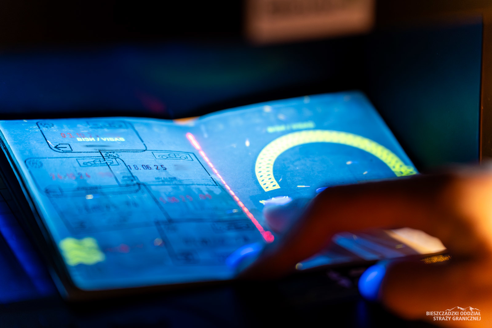 Narasta proceder fałszowania dokumentów przez imigrantów