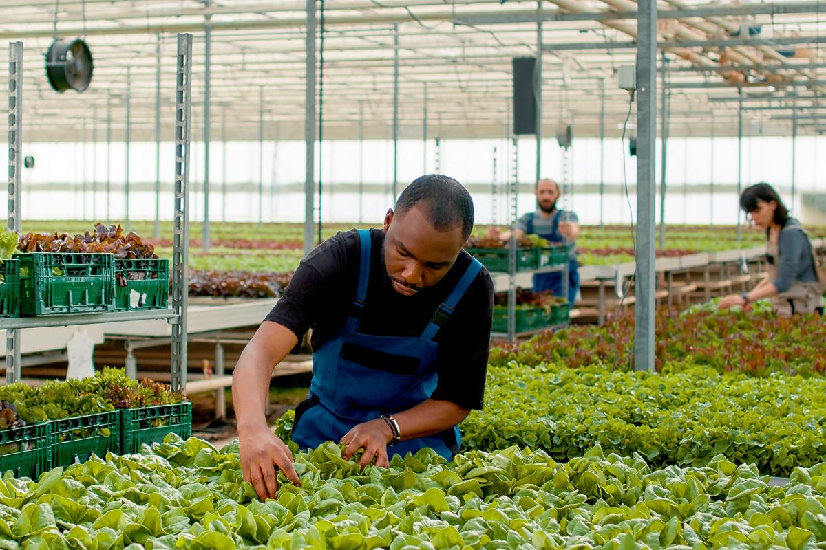 W Polsce rośnie proceder niewolnictwa imigrantów