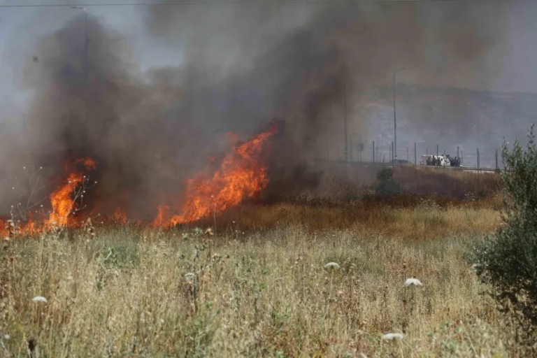 Osadnicy coraz śmielsi. Nowy pogrom na Zachodnim Brzegu